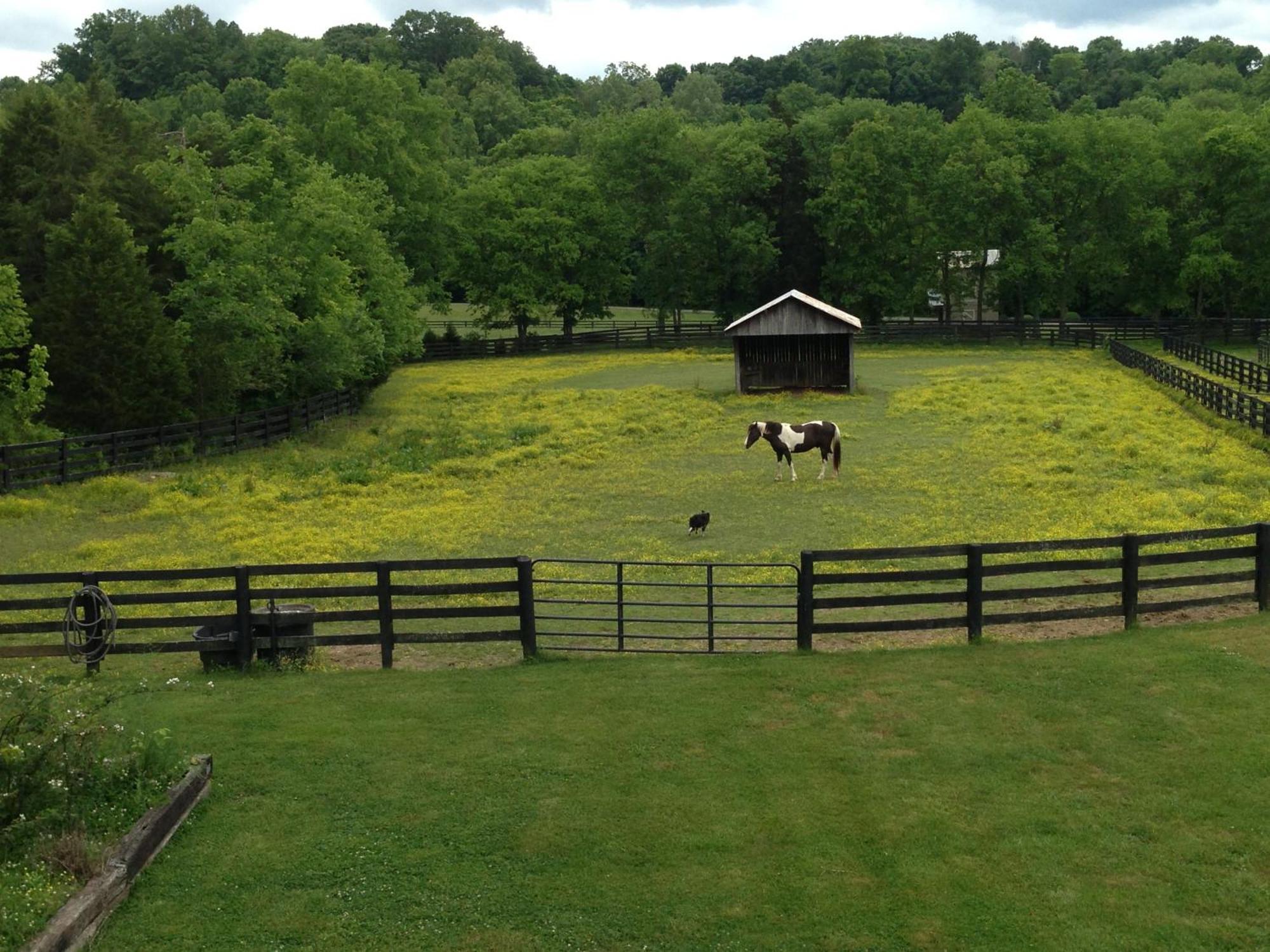 Full Circle Farm Holiday home *